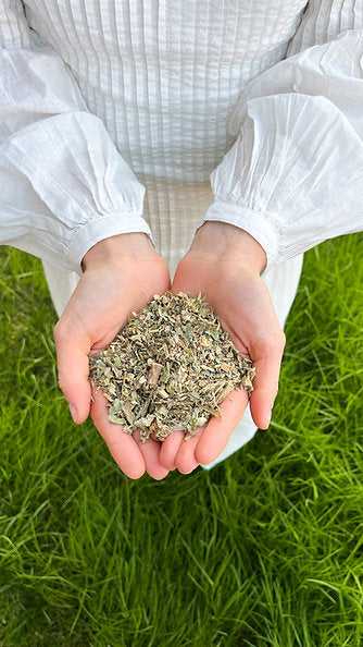 TISANA CIAOMONDO - Spring Detox